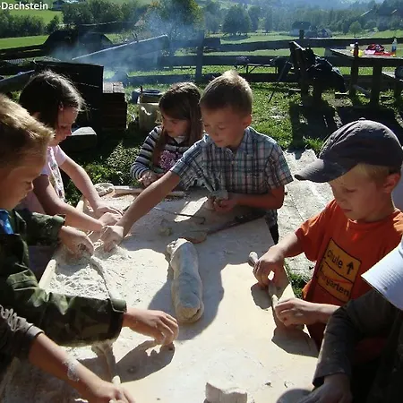 Holiday home Naturpark Schladming-dachstein Stein an der Enns